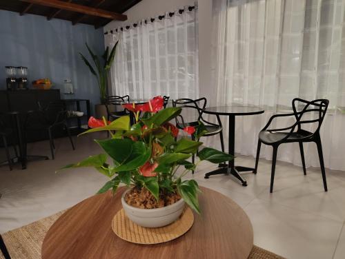 a potted plant sitting on a table in a room at Bluelux Med - B&B in Medellín