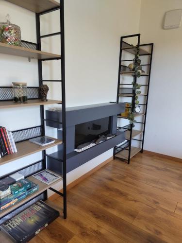 Perpustakaan di apartmen