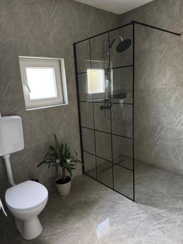 a bathroom with a toilet and a glass shower at Villa Maglić Vlašić in Vlasic