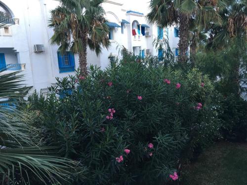 a bush with pink flowers in front of a building at Appartement 3 chambres bords de mer Hammamet in Nabeul