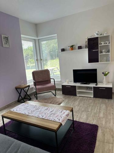 a living room with a flat screen tv and a couch at Apartmány Na Rozcestí in Lomnice nad Popelkou