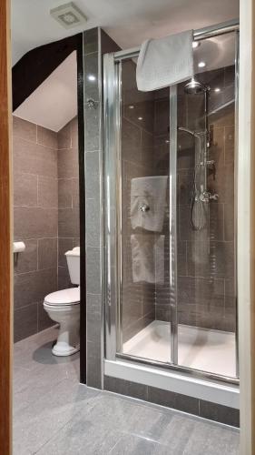 a bathroom with a shower and a toilet at Craig-Y-Nos Castle in Abercraf
