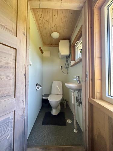 a small bathroom with a toilet and a sink at Männiliiva puhkemaja in Hiiumaa