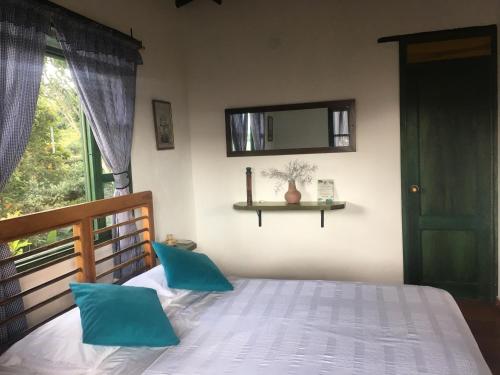 a bedroom with a bed with blue pillows and a mirror at Santa Lucia Estancia Rural in Guaduas