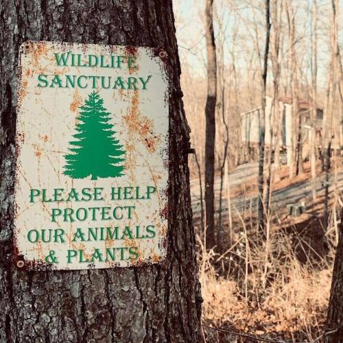 a sign on a tree in front of a train at Peaceful Hideaway Treehouse near Little River Canyon in Fort Payne