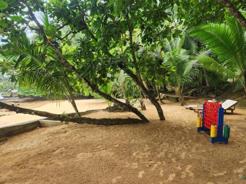 a playground in the sand next to a tree at Tesoro Escondido Ecolodge Cabinas in Bocas del Toro