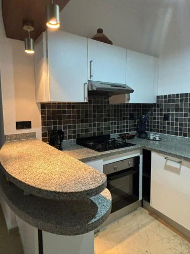 Kuchyň nebo kuchyňský kout v ubytování Appartement luxueux Palemerai