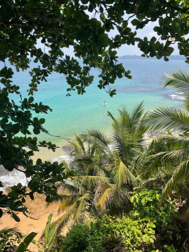 a view of a beach with palm trees and the ocean at Tesoro Escondido Ecolodge Cabinas in Bocas del Toro