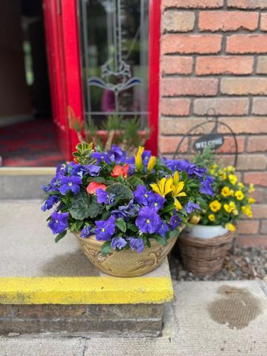 two baskets of flowers in front of a door at Portora House Accommodation ROOM ONLY-ALL ROOMS EN-SUITE in Enniskillen