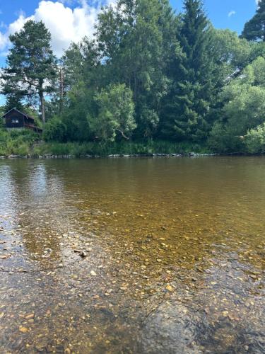 a body of water with trees in the background at Chata na soutoku in Kestřany