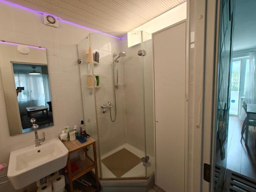 a bathroom with a shower and a sink at Holiday Ap in Visaginas