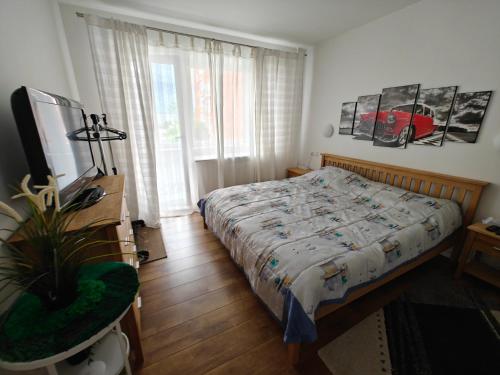 a bedroom with a bed and a desk and a television at Holiday Ap in Visaginas