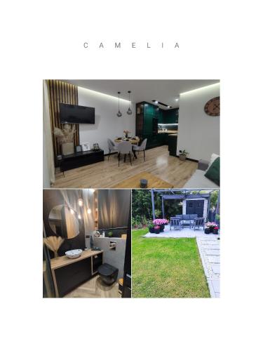 Apartament z ogrodem Camelia