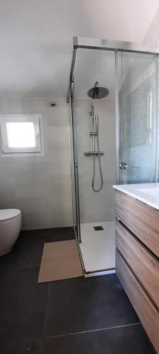 a bathroom with a shower and a toilet and a sink at Casa Saballa in O Grove