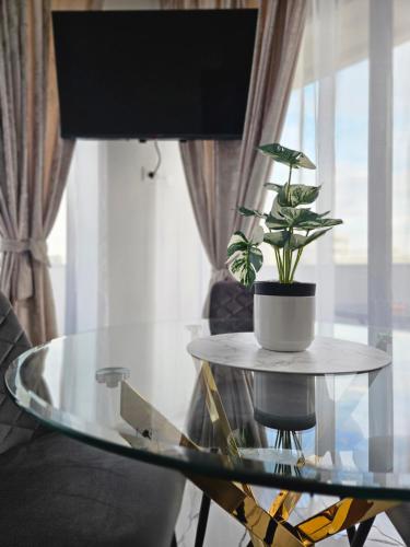 a glass table with a potted plant on it at EverGreen Apartment4 in Năvodari