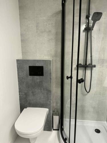 a bathroom with a shower with a toilet and a sink at Leśna Przystań in Pojezierze