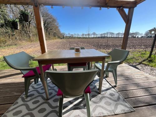 a table and chairs sitting on a wooden deck at Tiny forest lodge with direct access to forest and nature in Anloo