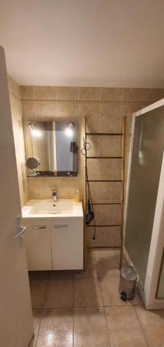 a bathroom with a sink and a mirror at Charmante maison de plain pied rénovée et climatisée en lisière de forêt in Saint-Jean-de-Monts