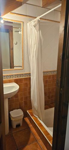 a bathroom with a shower and a toilet and a sink at Bolera I in Borines