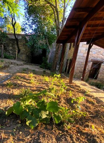 Zahrada ubytování Keva Adatepe Doğal Tarihi Taş Evler