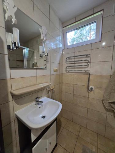 a bathroom with a sink and a mirror at ChillForest SPA in Tomczyn