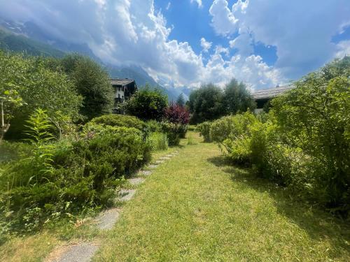 Alpine Escape Mont Blanc at Your Window