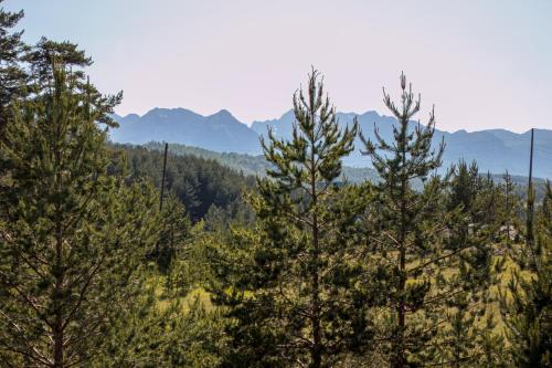 a view of trees and mountains in the distance at Borje Mountain Chalet near Durmitor & Žabljak in Borje