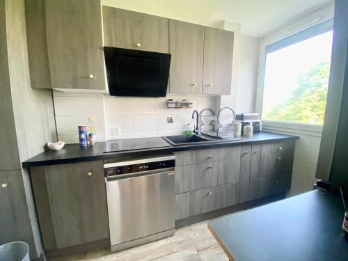 une cuisine avec un évier et un lave-vaisselle dans l'établissement Appartement lumineux et convivial à partager, à Bron