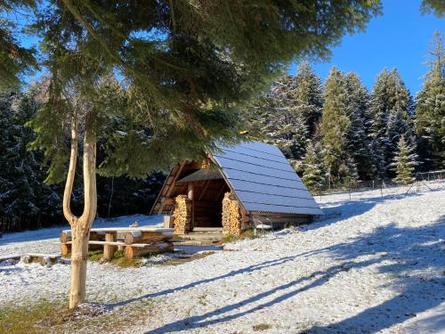 a log cabin in the snow next to a tree at Noclegi Pod Lasem in Zubrzyca Górna