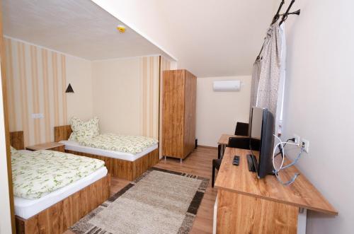 a small room with two beds and a television at Camere-Apartament Steyna in Alba Iulia