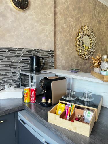 Appartement de Luxe à Lyon photo 13