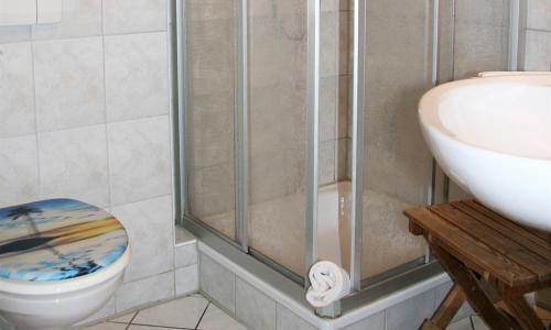 a bathroom with a shower and a toilet and a sink at Sommerhof Rauber in Immenstaad am Bodensee