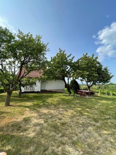 Zahrada ubytování Cosy country home, Lendava
