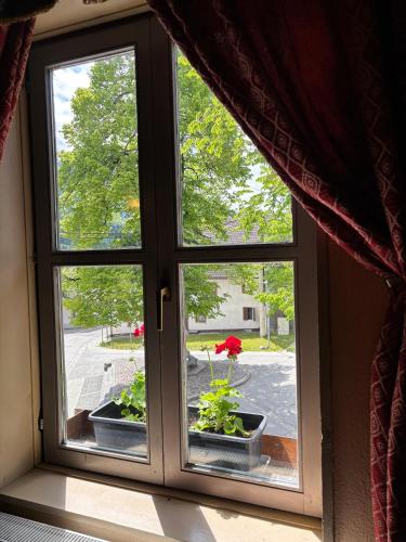 an open window with two potted plants on a street at Apartments Belopeški Dvori in Kranjska Gora