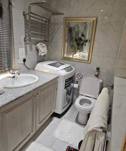 a bathroom with a sink and a toilet in it at RPG Corporate Unit in Johannesburg