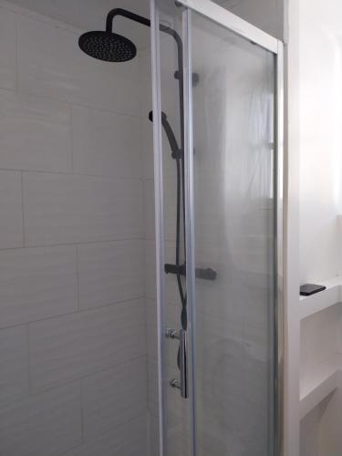 une douche avec une porte en verre dans une salle de bain dans l'établissement Le Figuier, au Mans