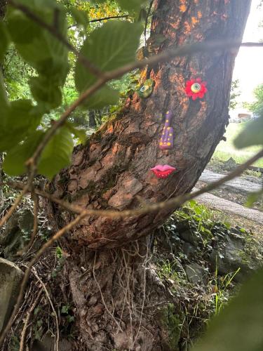 Tiny house en pleine nature