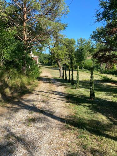 a dirt road with trees in a field at Cà CASTIGLIONE in Acqualagna