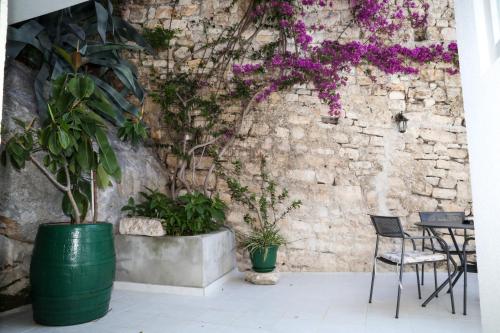 a room with plants and a stone wall at Apartments Seka in Hvar