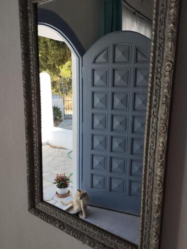 a mirror with a cat sitting in front of a door at White Cat in Vromolithos