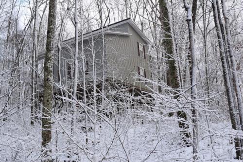 a house is covered in snow in the woods at Serenity Escape Treehouse on 14 acres near Little River Canyon in Fort Payne