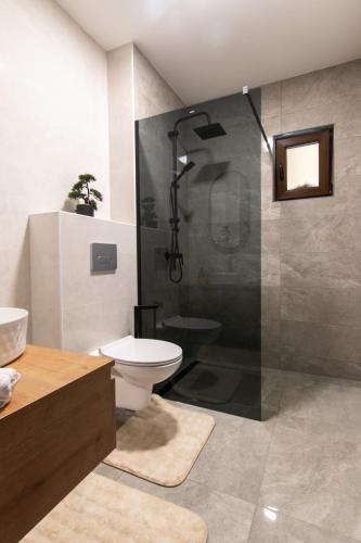 a bathroom with a shower and a toilet and a sink at Guest House ANA in Otočac