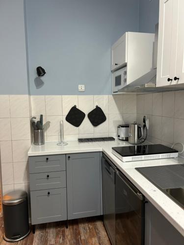 Una cocina o zona de cocina en Apartman Chilla 2