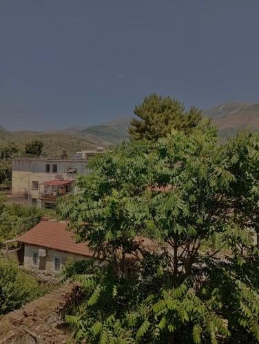 a tree sitting on top of a hill next to a house at Delvina Penthouse in Delvinë