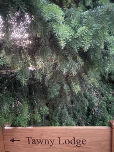 a pine tree with a trolley lodge sign on it at Tawny Lodge, Evesham Nr Cotswolds in Evesham
