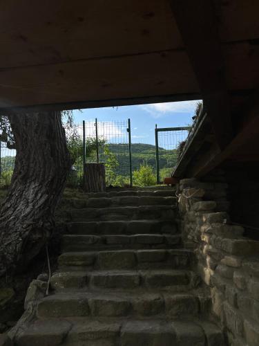 Φυσικό τοπίο κοντά σε αυτό το κατάλυμα σε φάρμα