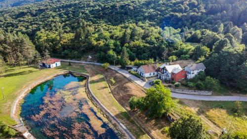 an aerial view of a house in the woods at Lumaris in Ogulin