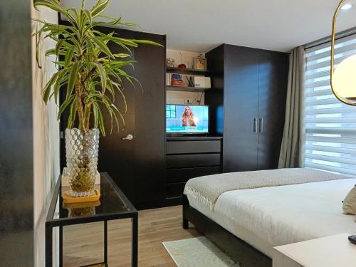 a bedroom with a bed and a tv and a plant at Like a Home - 2Bedrooms - QueenBed - Balcony - Parking - 7Th FLOOR in Quito