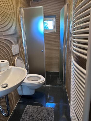 a bathroom with a toilet and a sink and a shower at Monteurwohnung 5 Einzelbetten kostenloser Stellplatz WLAN in Essen
