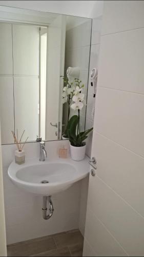 a bathroom sink with a mirror and a potted plant at Residence Diffuso Arcobaleno in Gabicce Mare